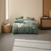 Simmons green bedding sponge mattress for the elderly, suitable for single and double beds Application Scenario